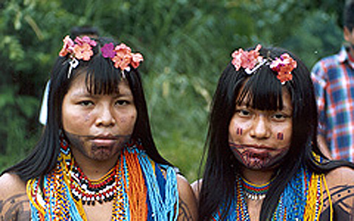 Problemas De Los Indigenas De Colombia En La Actualidad